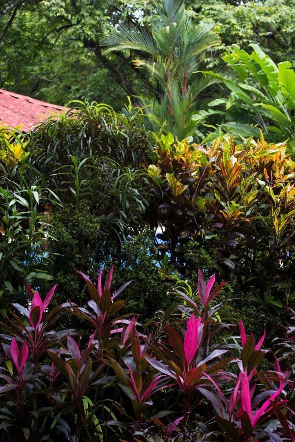 Casa Colores Montezuma Exterior photo